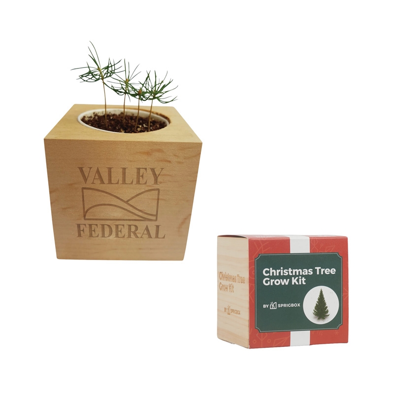 Sprigbox Christmas Tree Grow Kit 16