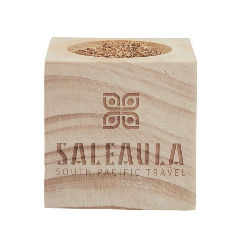 Sprigbox Christmas Tree Grow Kit 17