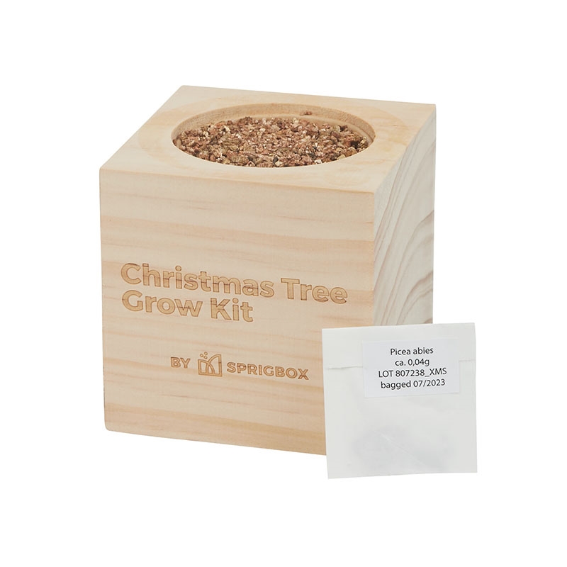 Sprigbox Christmas Tree Grow Kit 13
