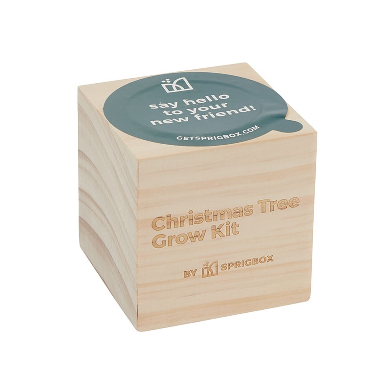 Sprigbox Christmas Tree Grow Kit 18