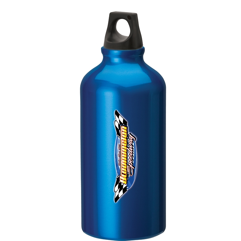 Sonia 16.9 oz. Flask with Twist Top — Blue