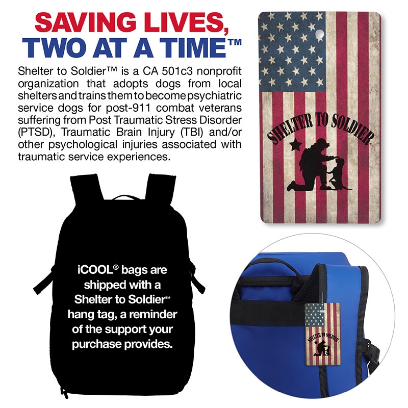 iCOOL® Vail 20-Can Cooler Backpack 3